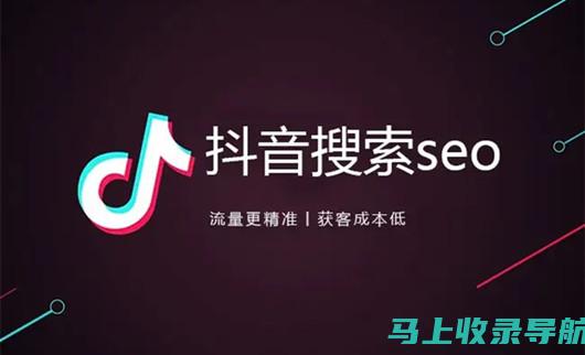 玩转抖音搜索排名：SEO优化策略详解